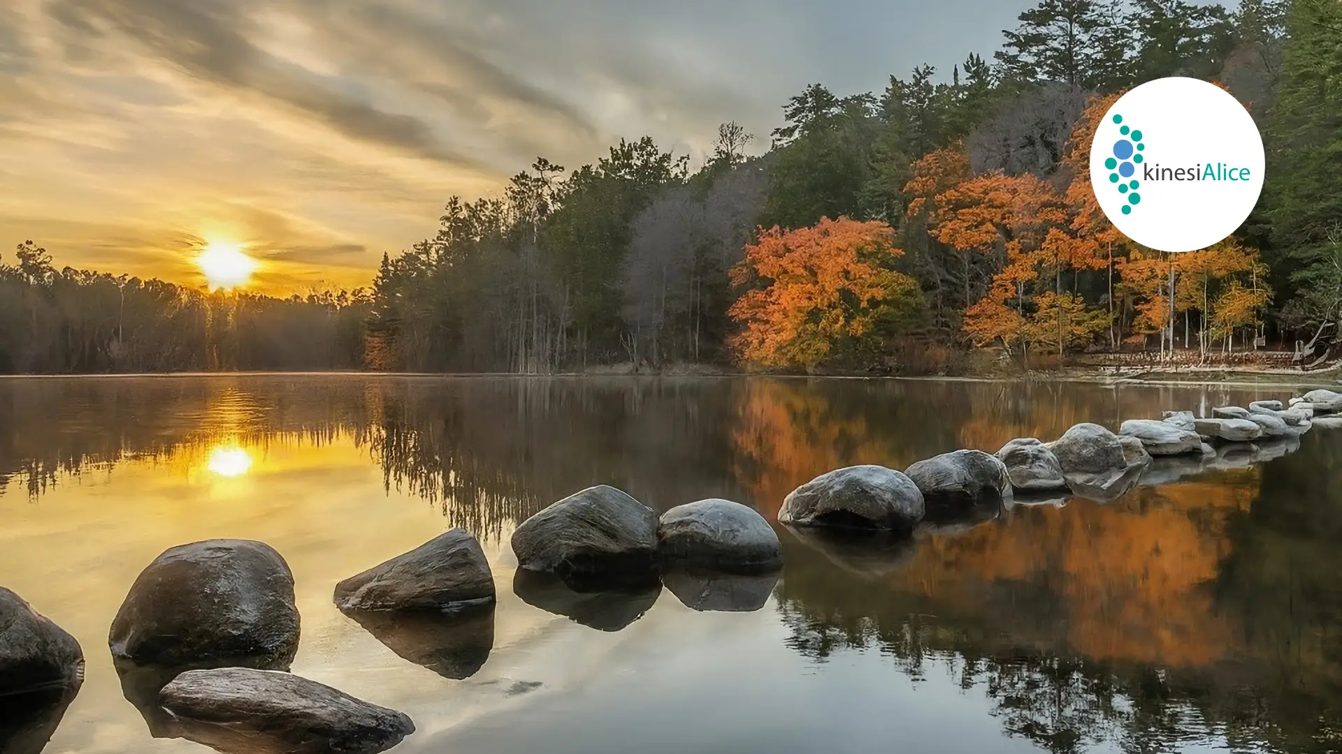 Consistency Over Intensity: A Gentle Approach to Lasting Health